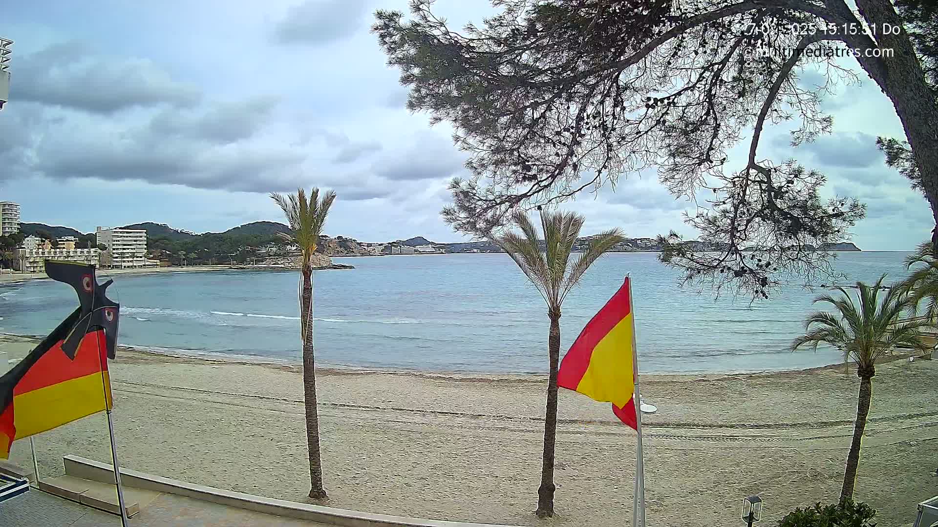 A sandy beach with calm ocean waters, palm trees, and overcast skies is viewed from a beachfront location.