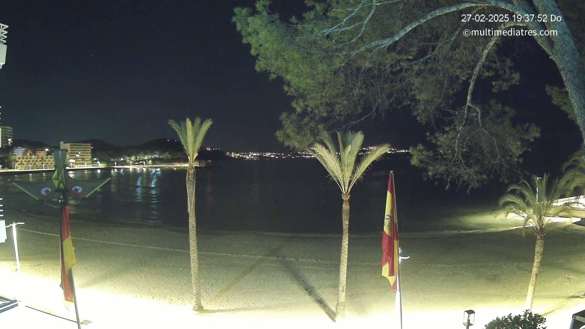 A nighttime view of a sandy beach, calm water, palm trees, and distant city lights under a clear sky.