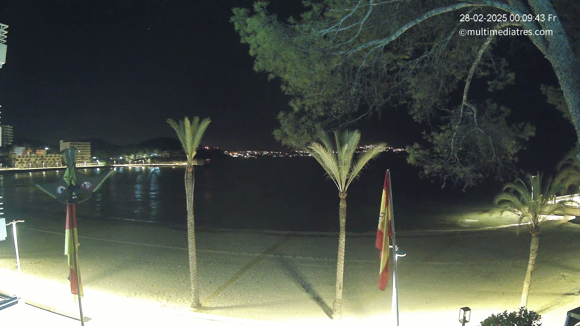 A nighttime view of a sandy beach with palm trees and a calm body of water, showing a distant town illuminated at night.