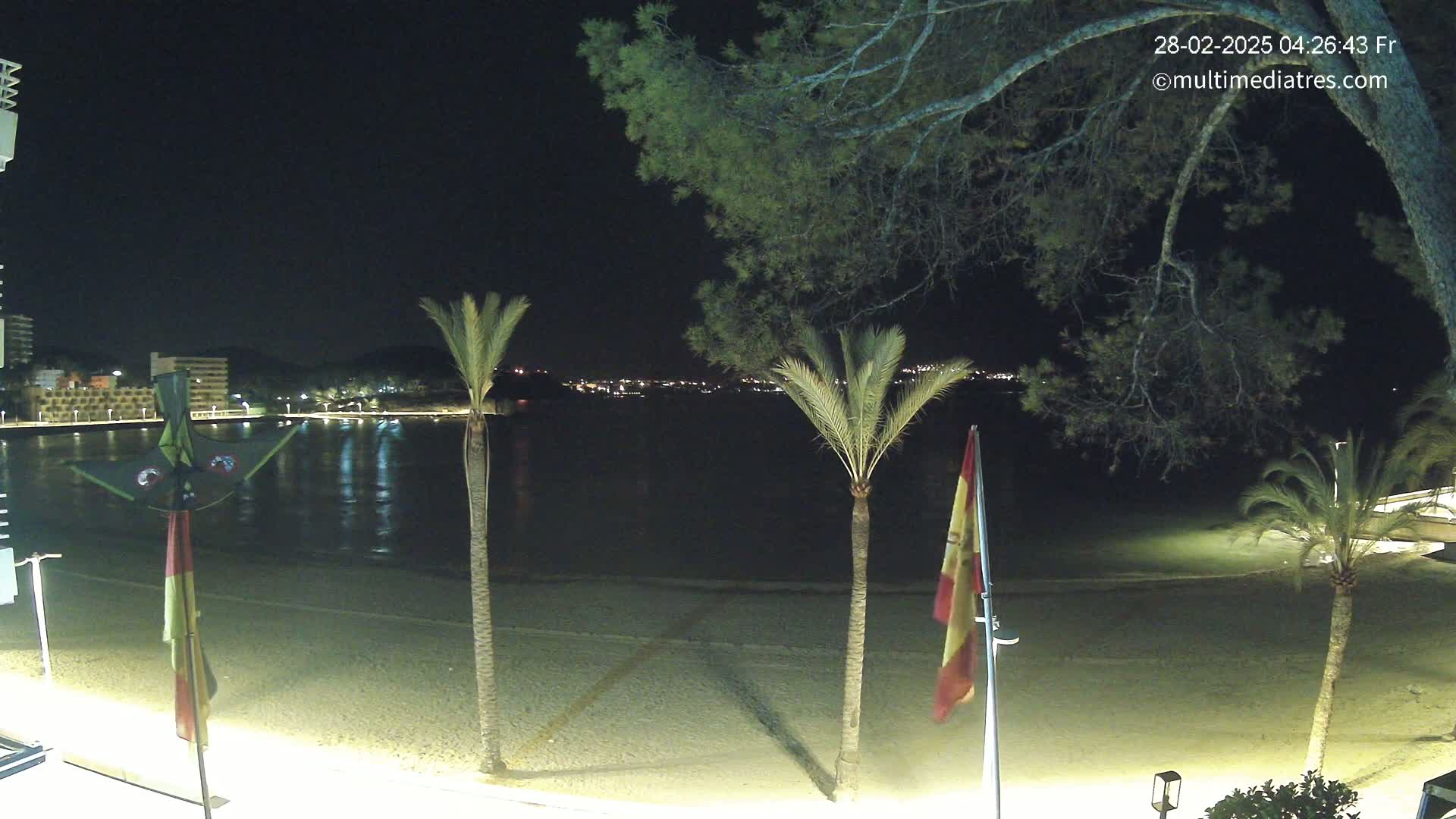 A nighttime view of a sandy beach with palm trees and calm water, showing a distant town illuminated under a dark sky.