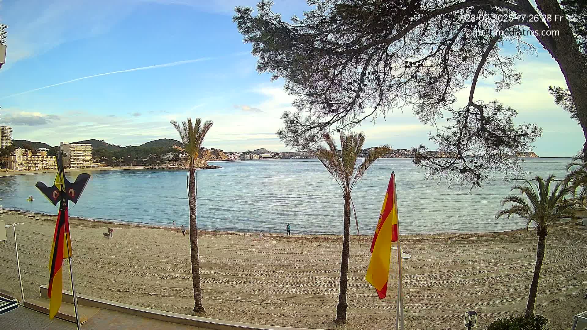 A sandy beach with palm trees and flags, overlooks a calm bay with buildings and hills visible in the distance under a mostly clear sky.