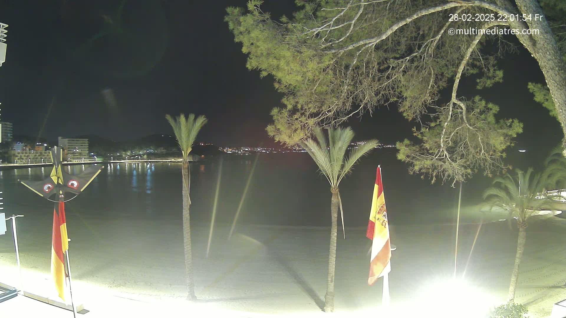 A nighttime beach scene shows a calm body of water reflecting city lights across the bay, with palm trees and flags on a sandy shore under a clear sky.