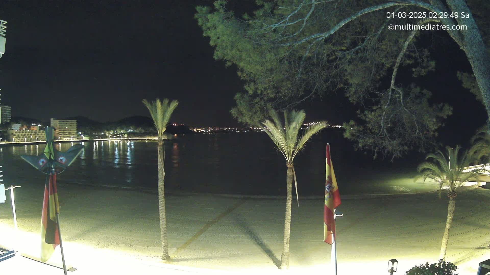 A nighttime view of a sandy beach with palm trees, calm water, and a town illuminated in the distance under a clear sky.