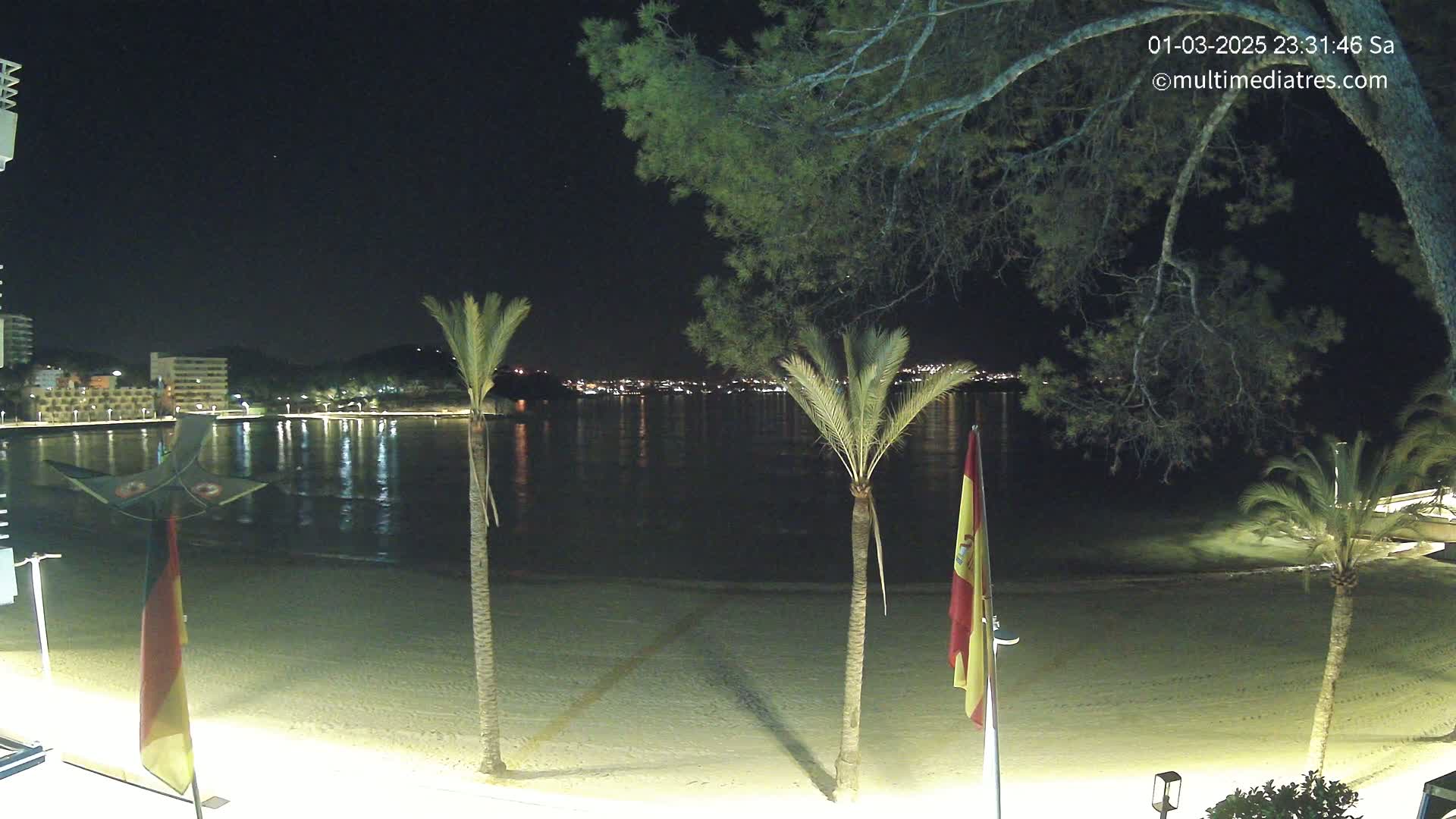 A nighttime view of a sandy beach with palm trees, flags, and a calm body of water reflecting lights from buildings across the bay under a clear, dark sky.