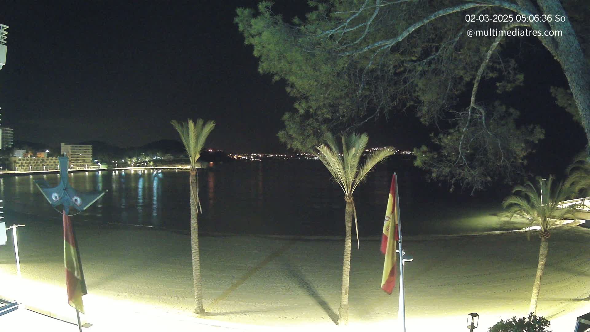 A nighttime view of a sandy beach with palm trees, calm water, and a city skyline faintly visible in the distance under a clear, dark sky.