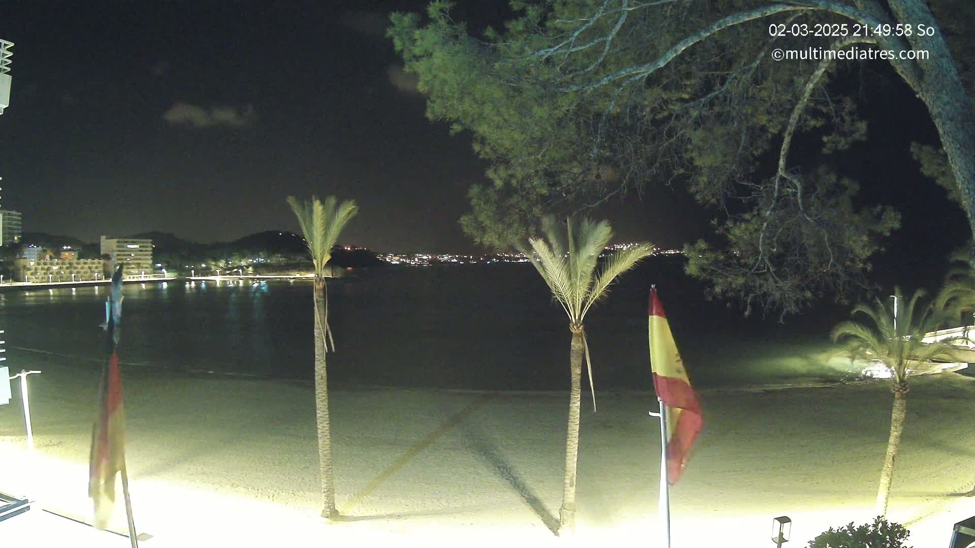 A nighttime view of a sandy beach with palm trees, flags, and a calm body of water, across which city lights are visible under a mostly clear sky.