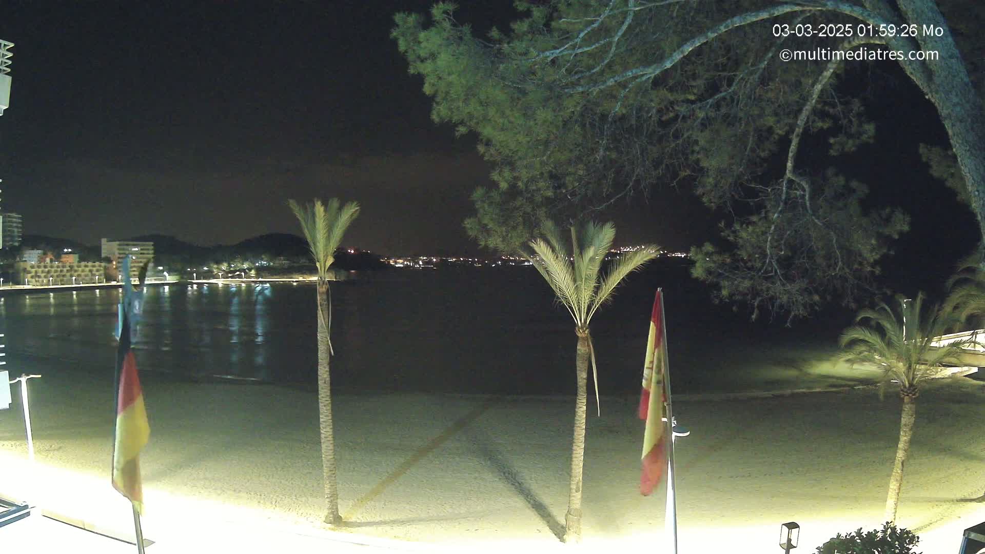 A nighttime beach scene shows a calm body of water reflecting lights from a distant town, palm trees lining the sand, and flags on poles along the shore.