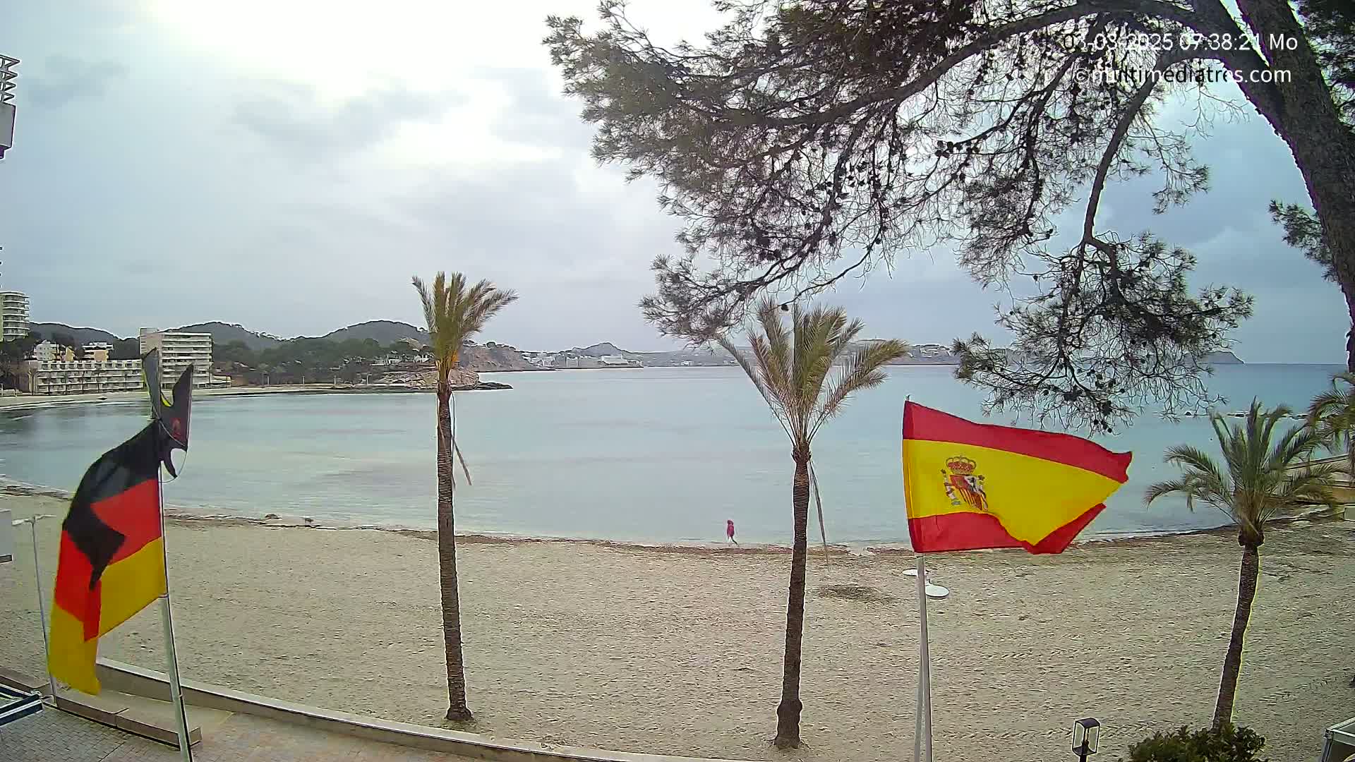 A sandy beach with calm, light-blue water, palm trees, and two flags—one German and one Spanish—under an overcast sky.