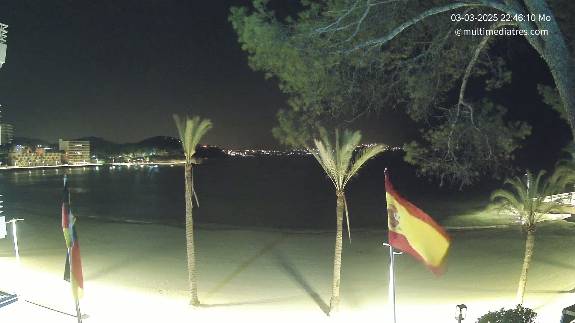 A nighttime beach scene shows a calm body of water, sand, palm trees, and flags under a clear, dark sky.