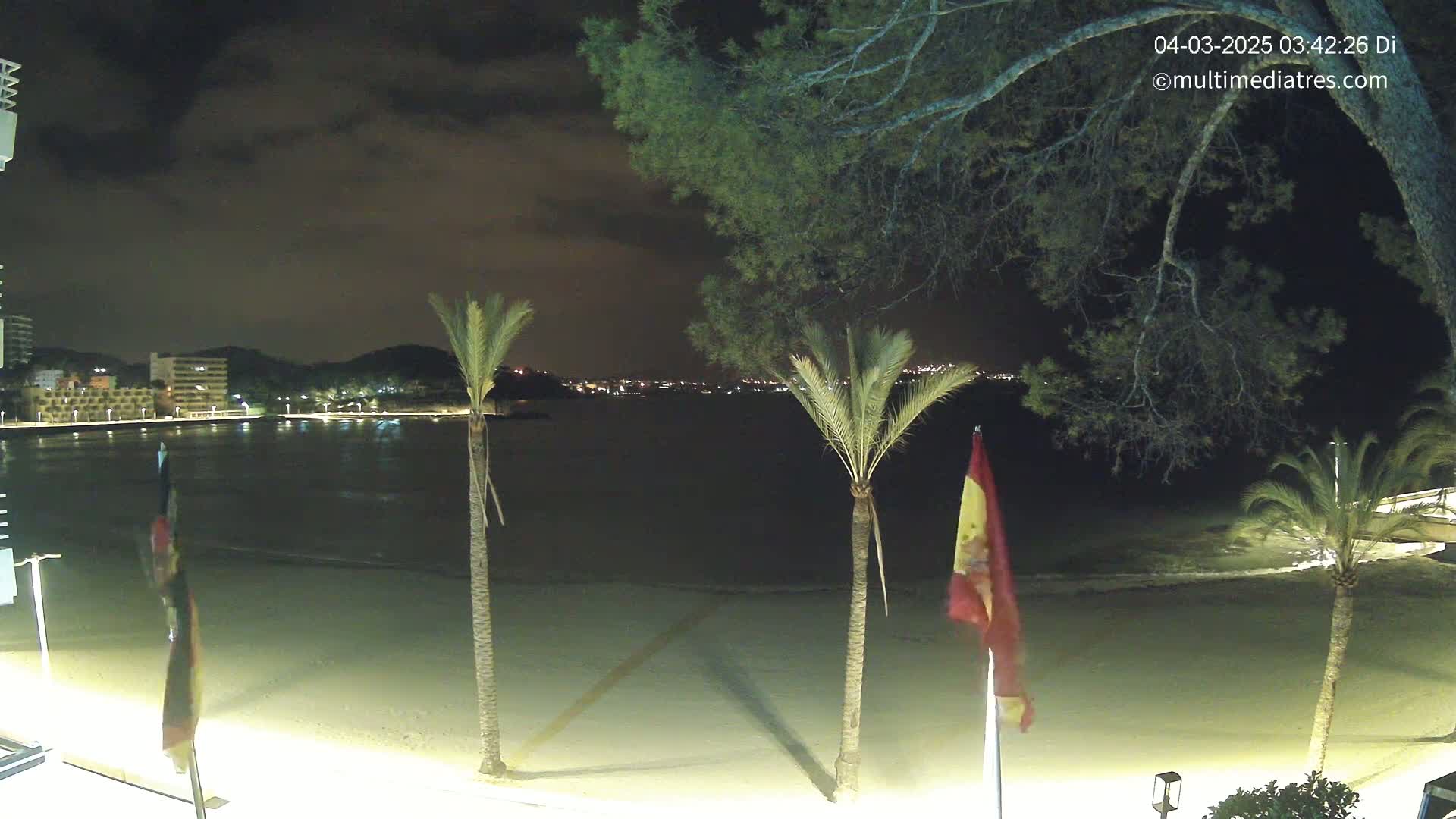 A nighttime beach scene shows palm trees and flags on a sandy shore with calm water and a town with lights in the distance under a cloudy sky.