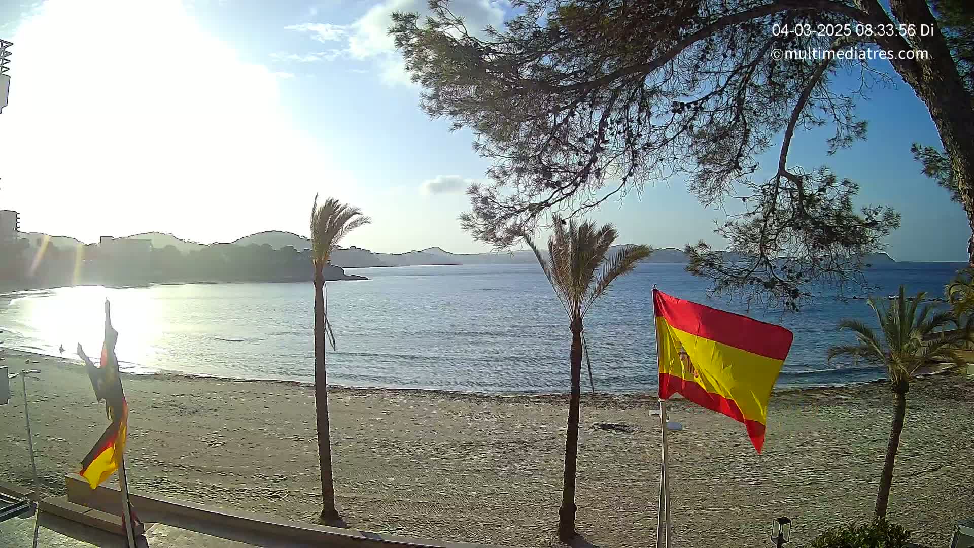 A sandy beach with calm ocean waves, palm trees, and a Spanish flag in the foreground, under a mostly sunny sky.