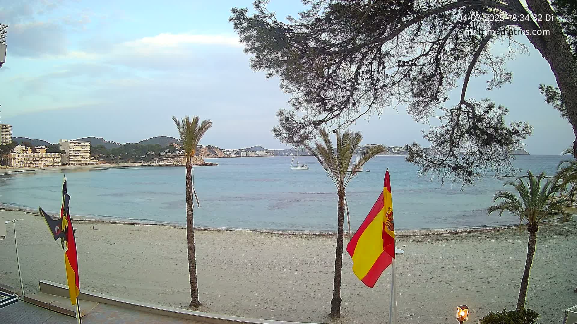 A sandy beach with calm, light-blue water is viewed from behind a row of palm trees and a pine tree, under a partly cloudy sky.