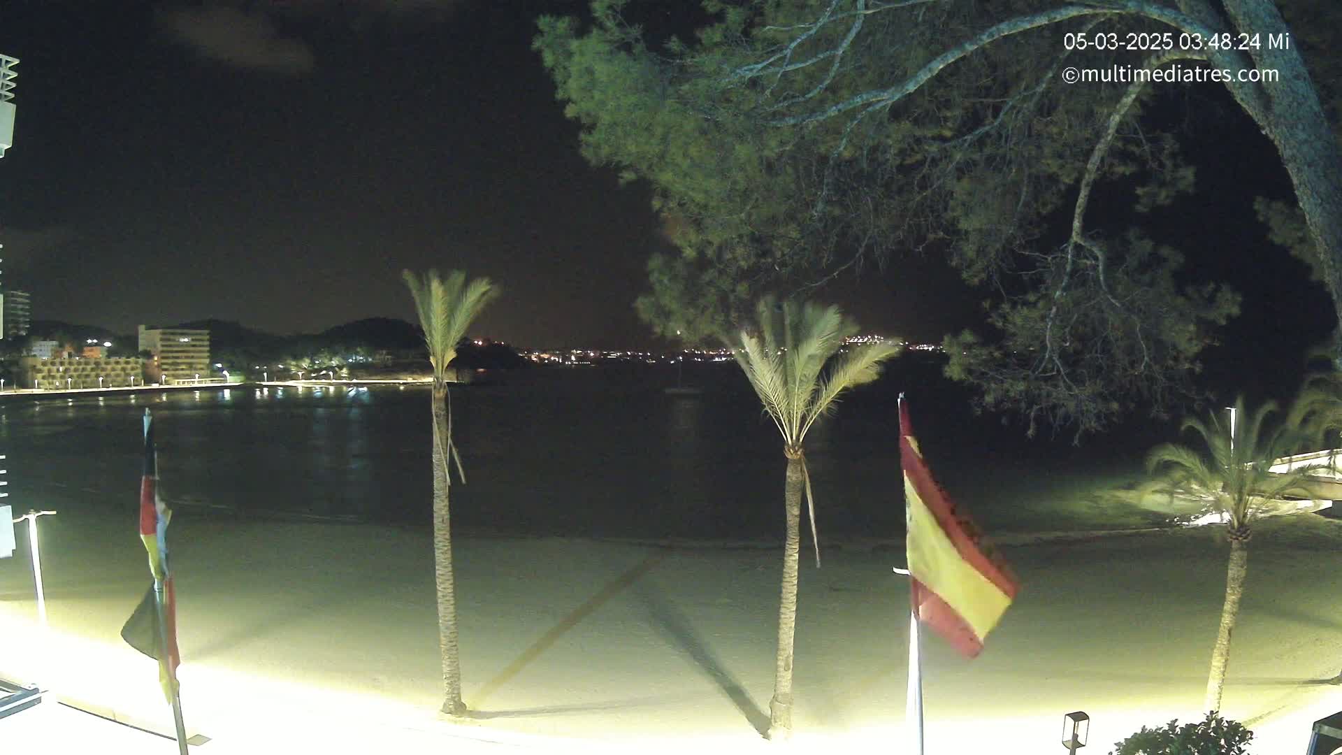A nighttime beach scene shows a calm body of water reflecting city lights across from a sandy shore lined with palm trees and flags.