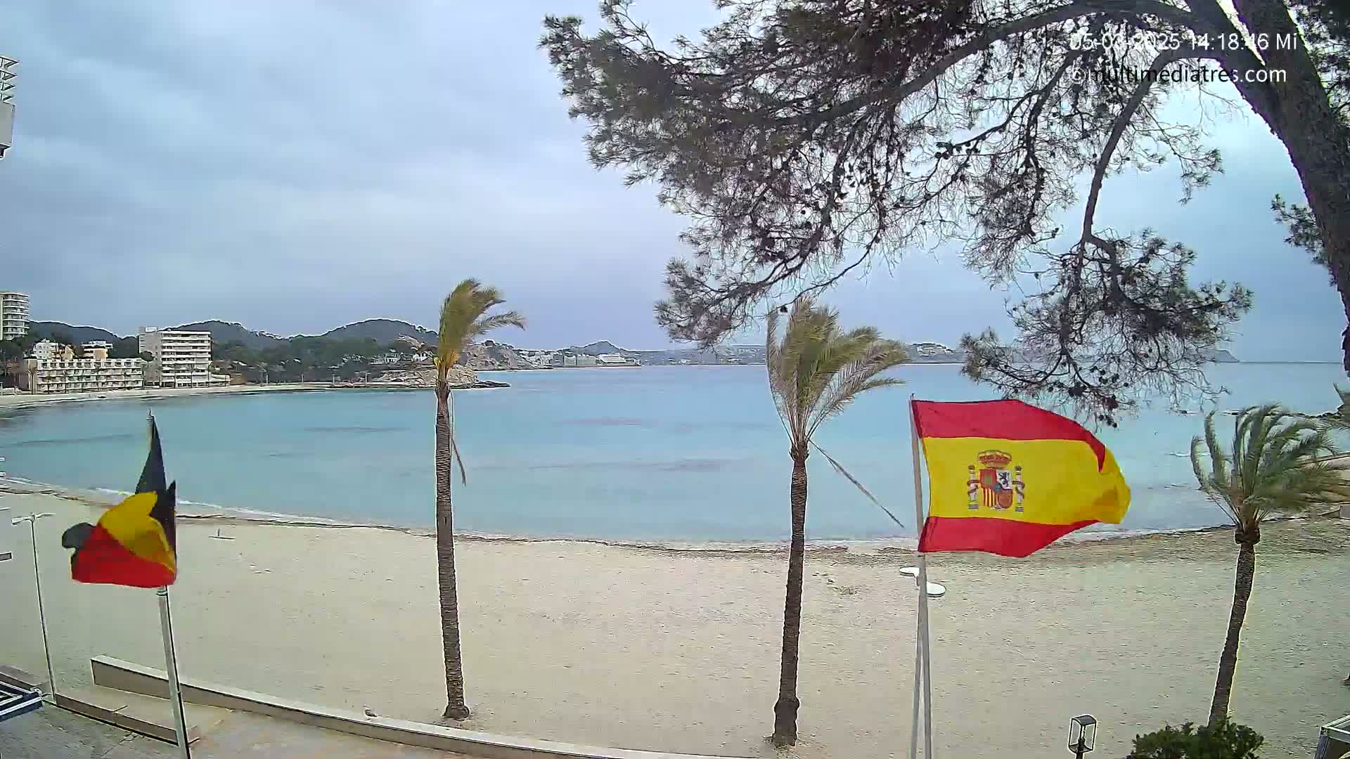 A sandy beach with calm, turquoise water, palm trees, and flags is viewed under an overcast sky.