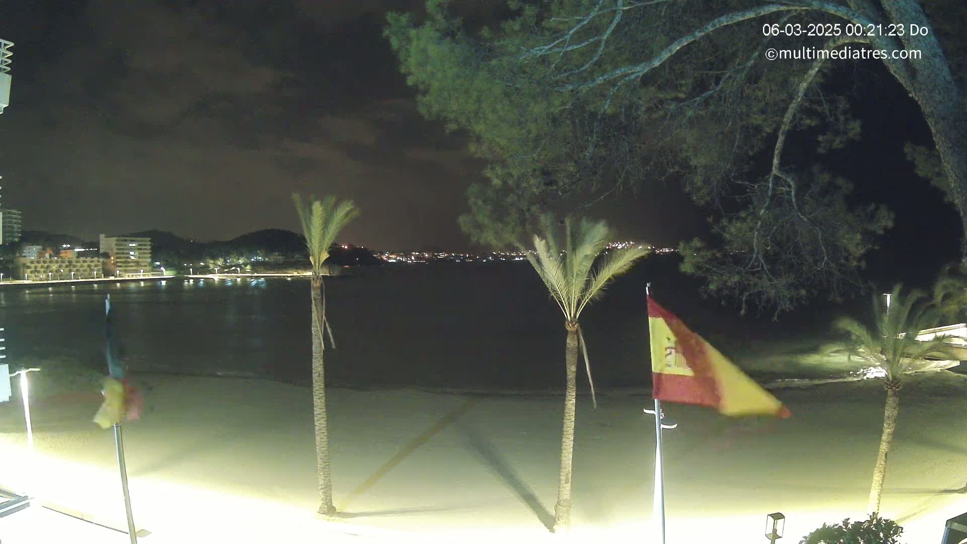 A nighttime beach scene shows a calm body of water, a sandy shore, palm trees, and a Spanish flag waving gently in the breeze under a partly cloudy sky.
