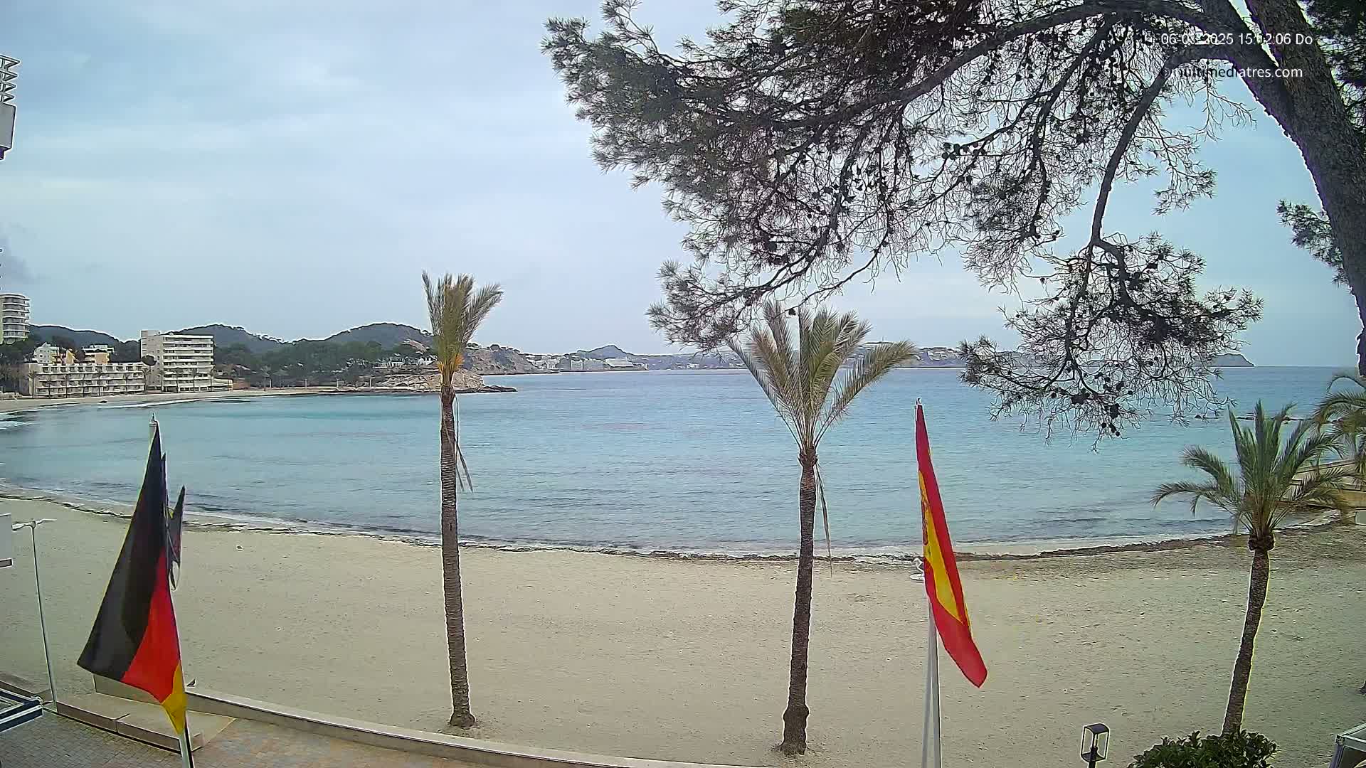 A sandy beach with calm, light-blue water is partially visible behind several palm trees and a pine tree, under a mostly cloudy sky.