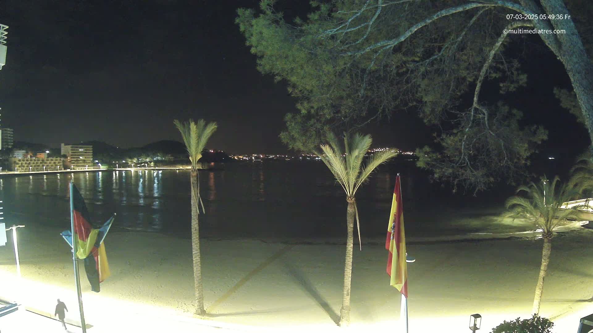 A nighttime view of a sandy beach with calm water, palm trees, and flags, overlooking a city illuminated across a bay under a clear sky.