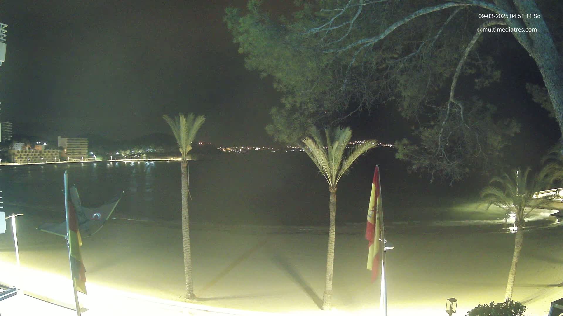 A nighttime beach scene shows a sandy shore, calm water, palm trees, and distant building lights under a dark sky.