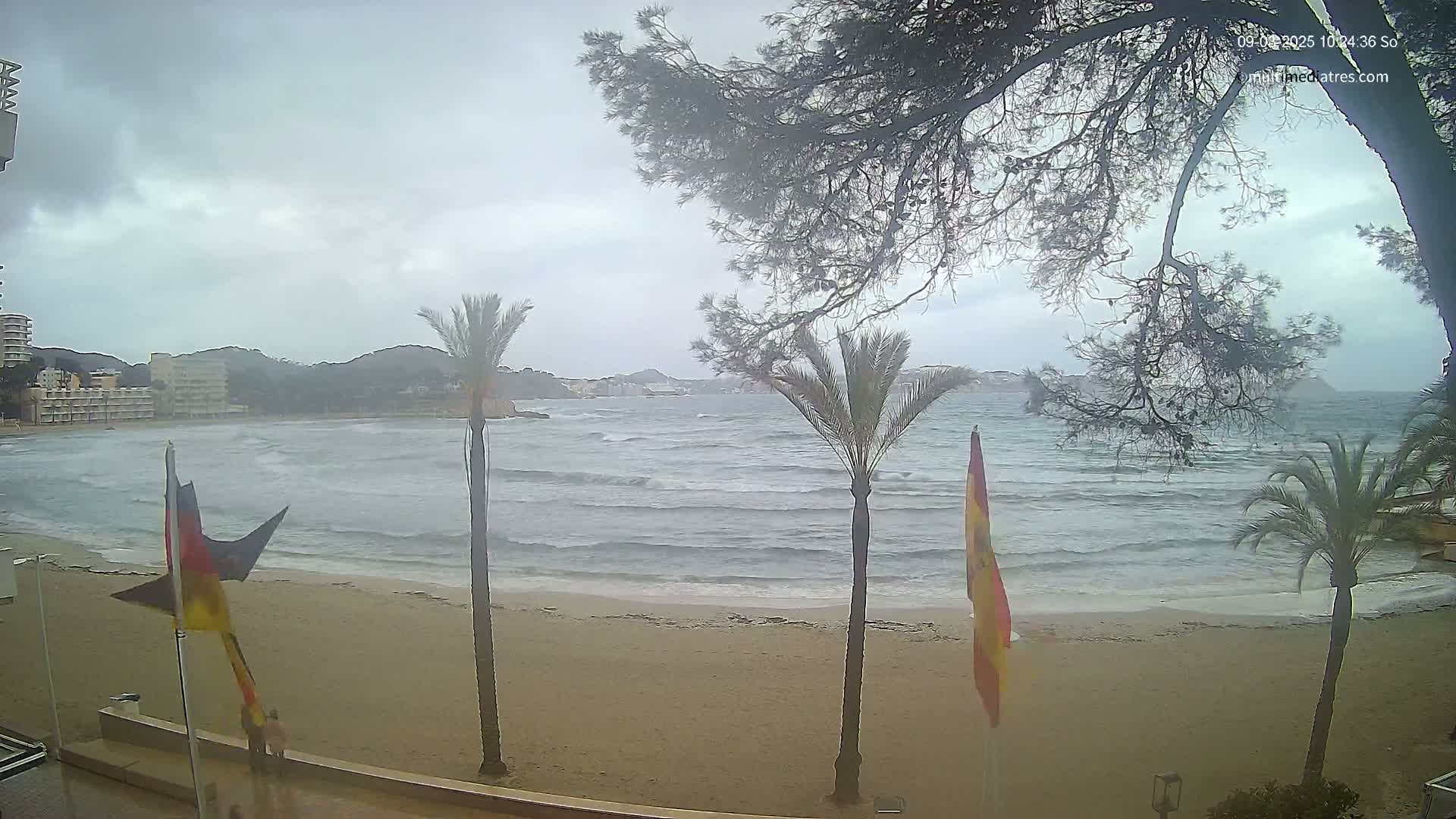 A sandy beach with choppy water and palm trees is seen under an overcast sky.