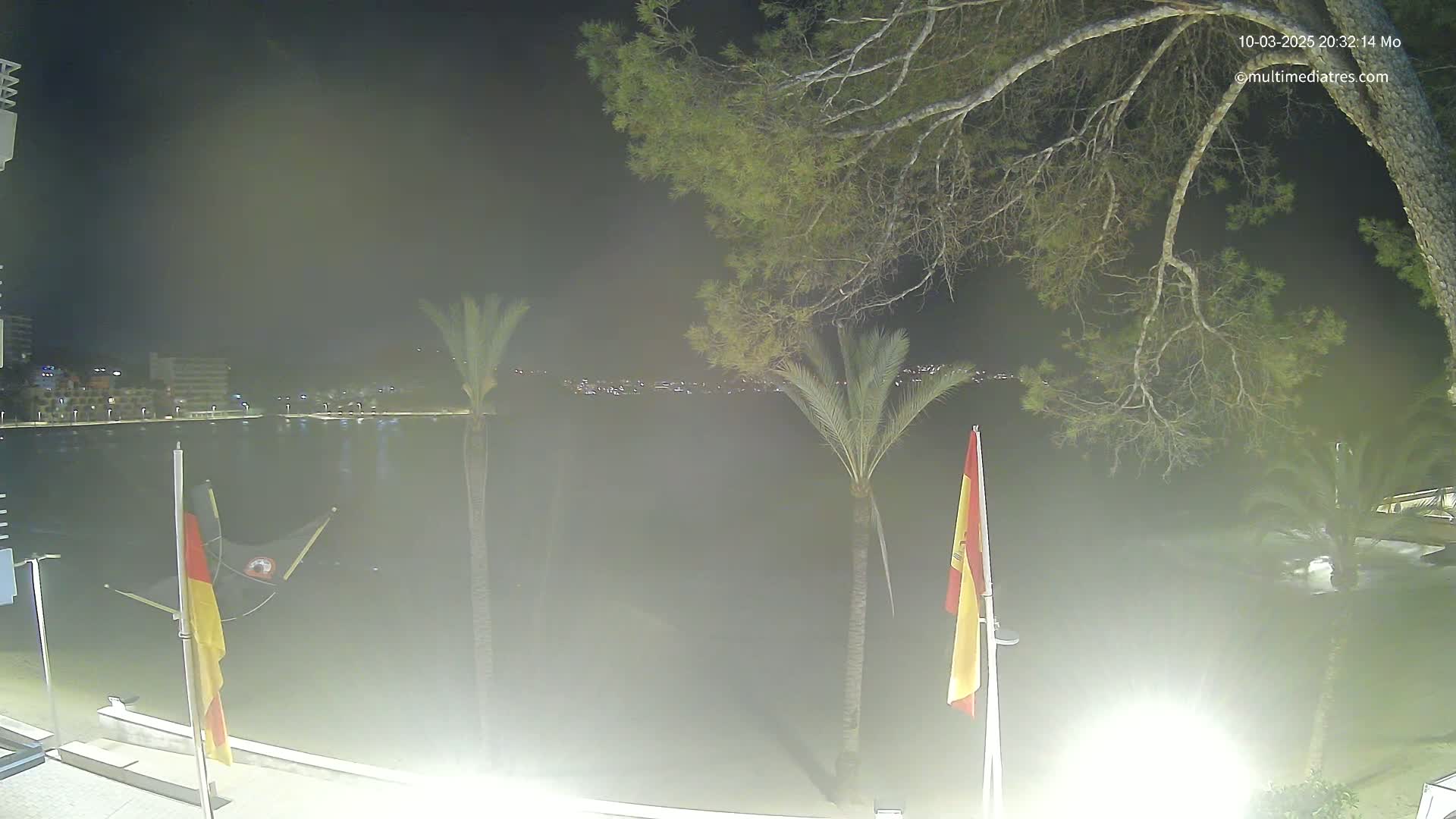 A nighttime view of a calm body of water with palm trees, a large tree, and flags in the foreground, under hazy conditions.
