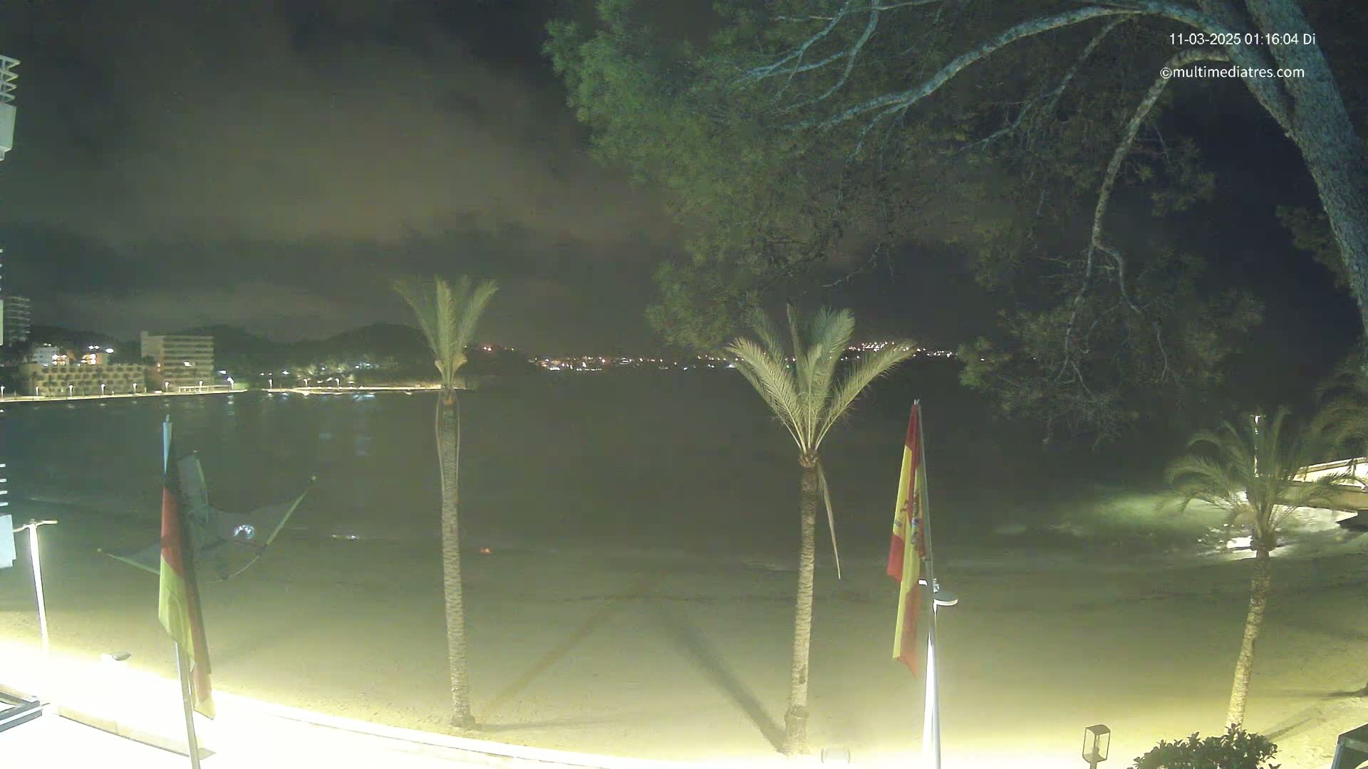 A nighttime view of a sandy beach with palm trees, calm water, and distant city lights under a cloudy sky.