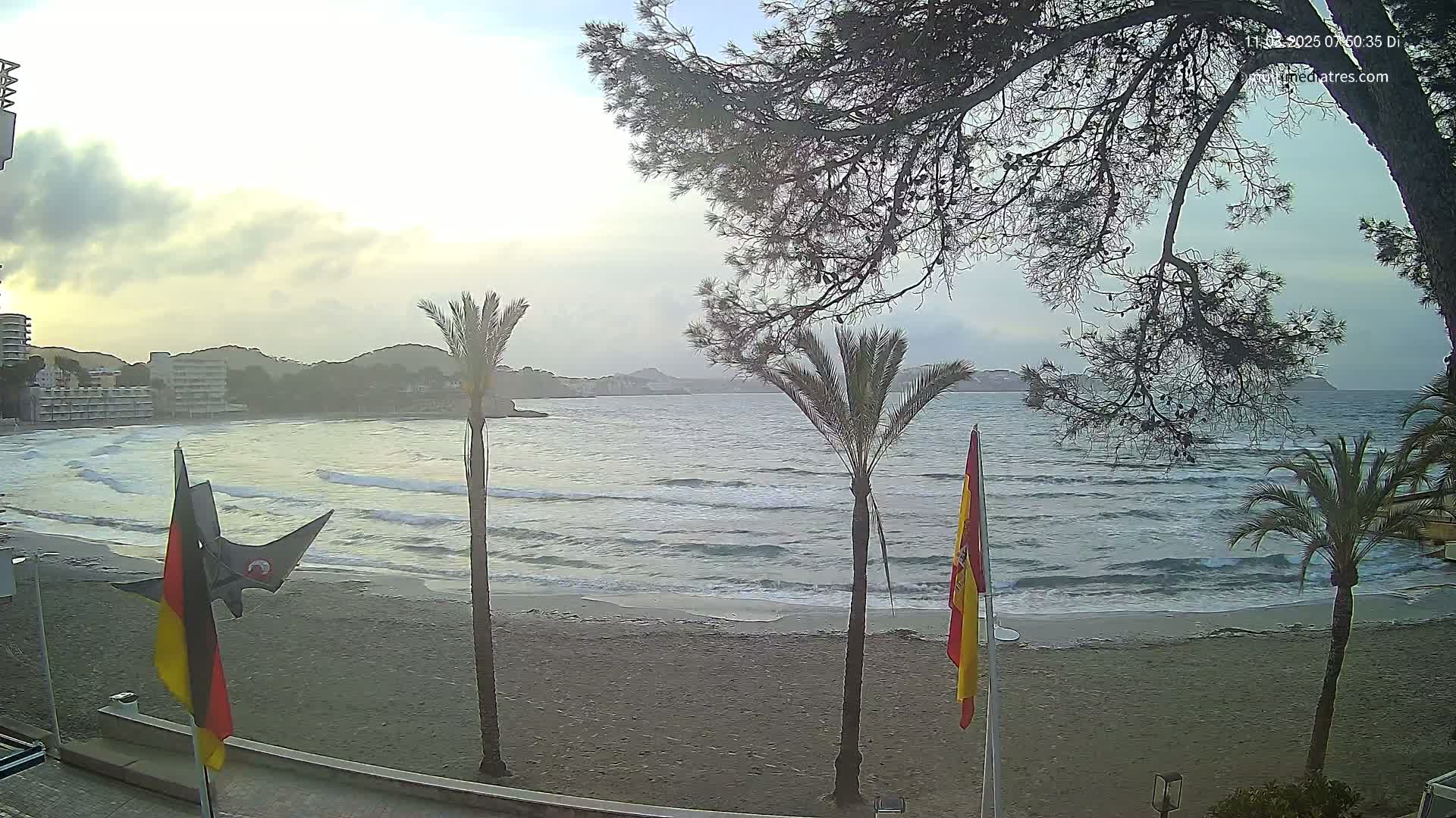 A sandy beach with gentle waves, palm trees, and buildings in the background under a cloudy sky.