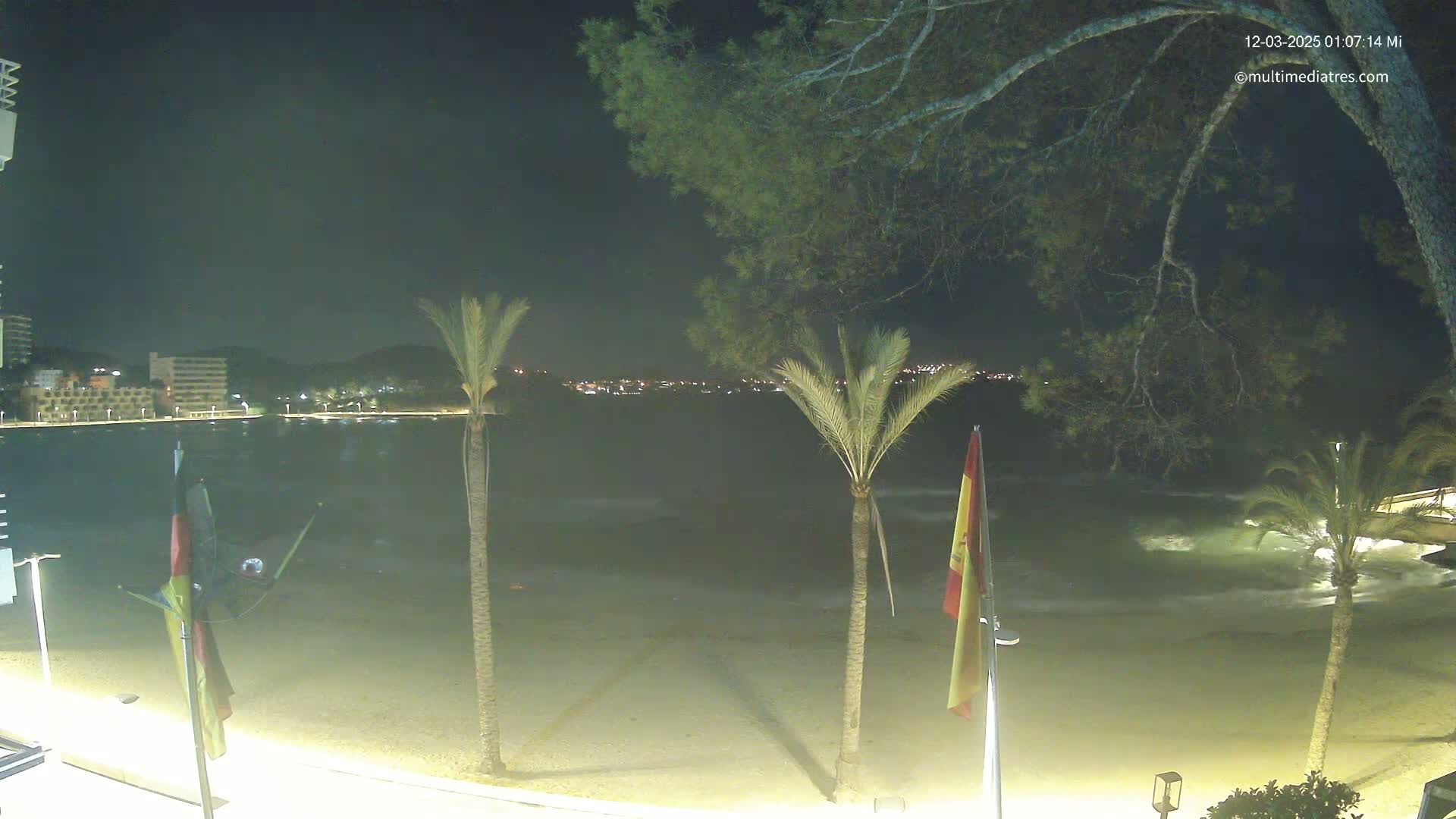 A nighttime beach scene shows calm waves lapping a sandy shore, palm trees, and a city skyline faintly visible in the distance.
