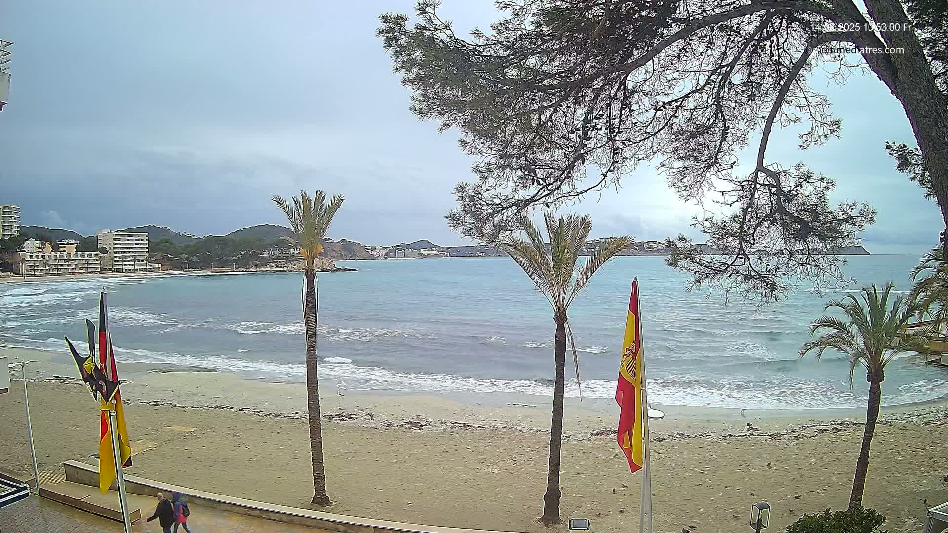 A sandy beach with calm waves, palm trees, and flags is seen under an overcast sky.