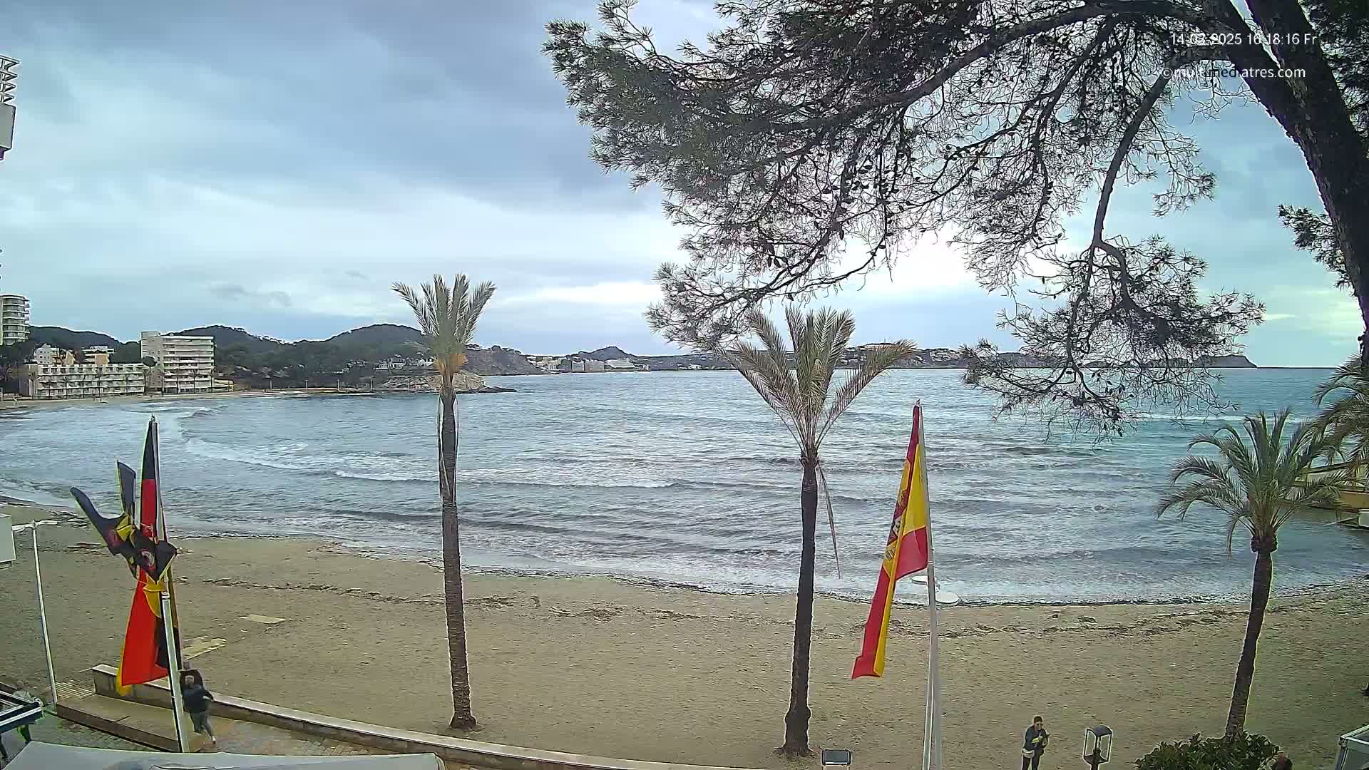 A sandy beach with small waves laps the shore under an overcast sky, palm trees stand in the foreground, and buildings are visible in the distance.