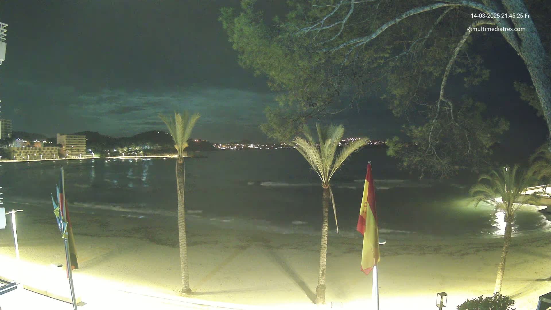 A nighttime beach scene shows a sandy shore with gentle waves lapping at the sand, palm trees, and city lights across the water under a partly cloudy sky.