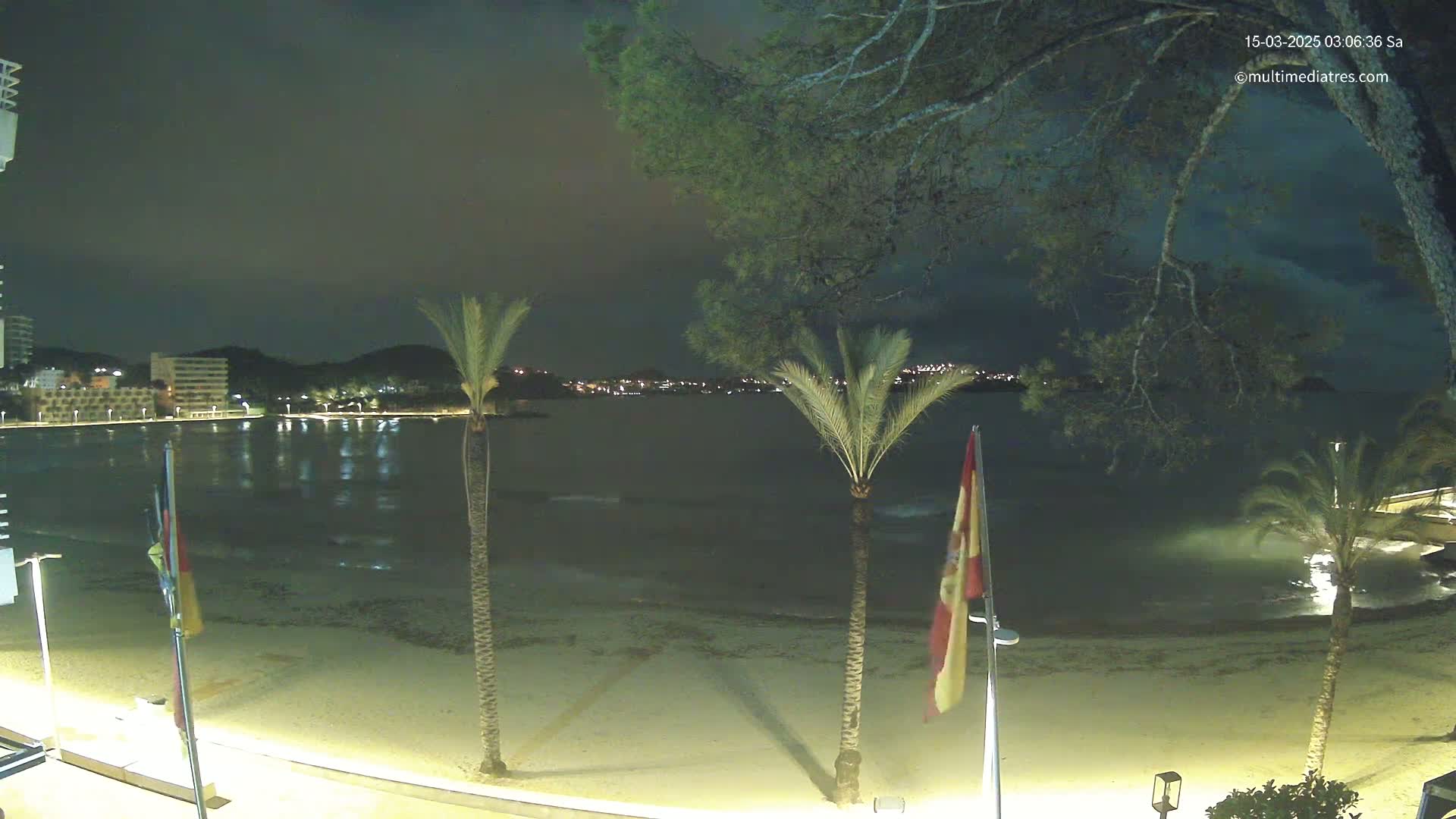 A nighttime view of a sandy beach with palm trees, calm water, and a cityscape across the bay under a dark sky.