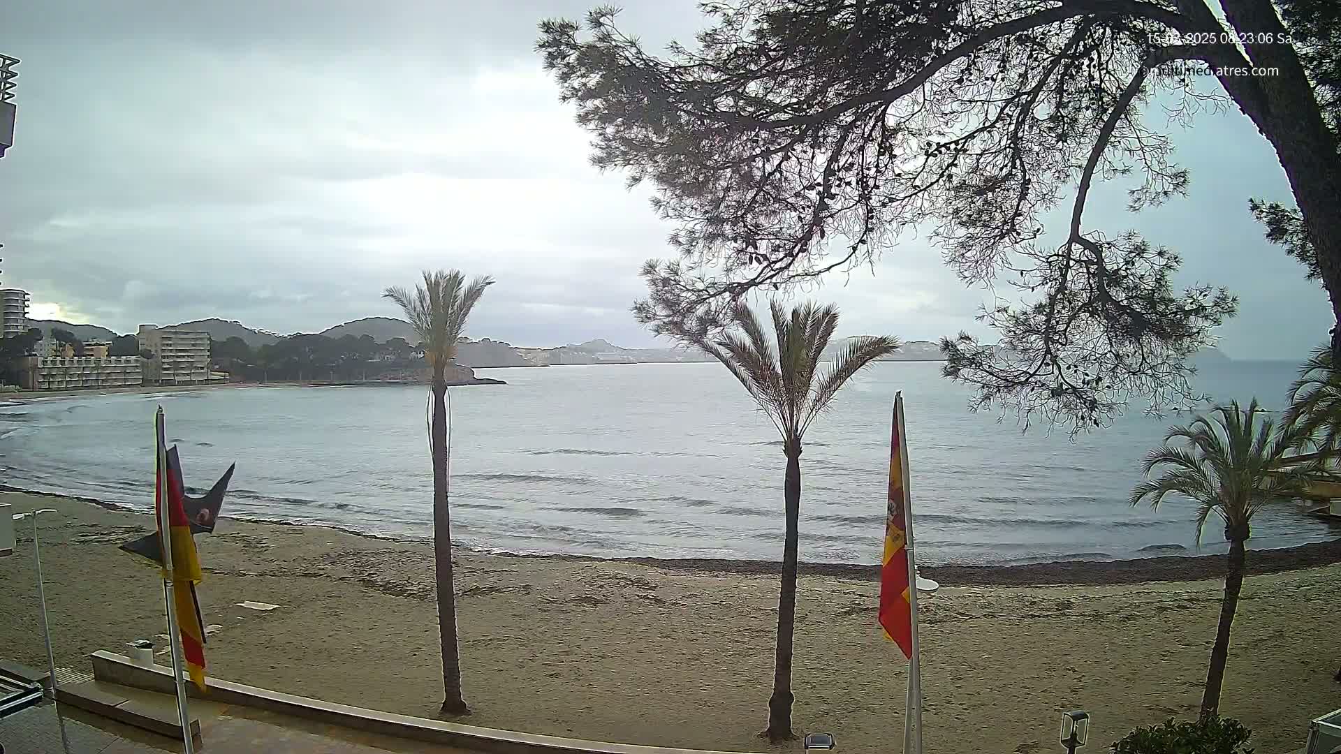A sandy beach with palm trees and flags overlooks a calm sea under an overcast sky.
