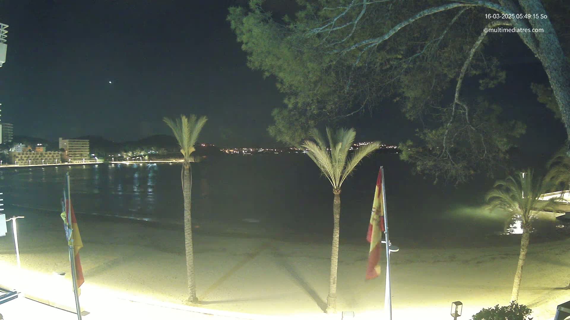 A nighttime view of a sandy beach with calm water, palm trees, and flags, illuminated by lights from buildings across the water.