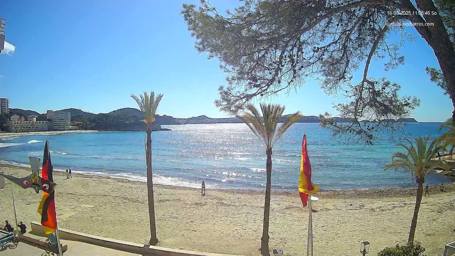 A sandy beach with calm, clear blue water, palm trees, and buildings in the background on a sunny day.