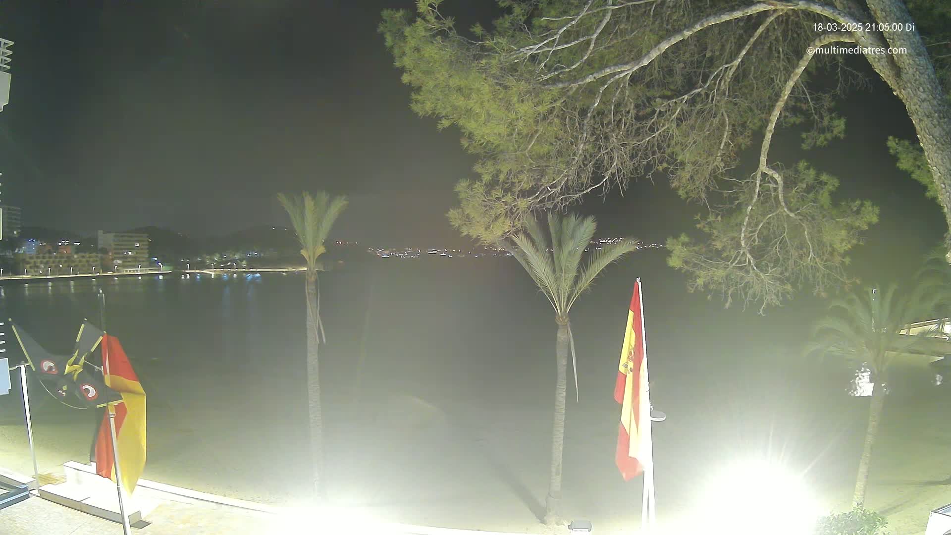 A nighttime view of a calm body of water with palm trees and a Spanish flag on a beach, illuminated by lights, and a cityscape visible in the distance.