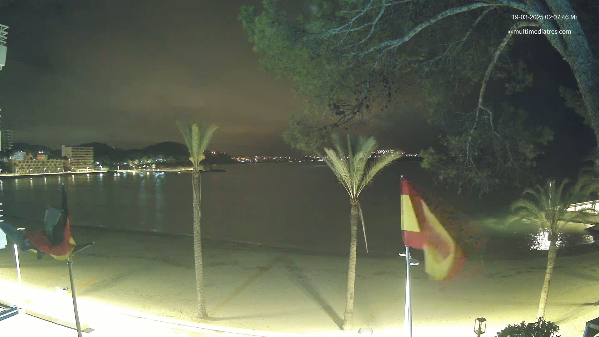 A nighttime view of a calm bay, sandy beach, and palm trees, with flags waving gently in the breeze under a dark sky.