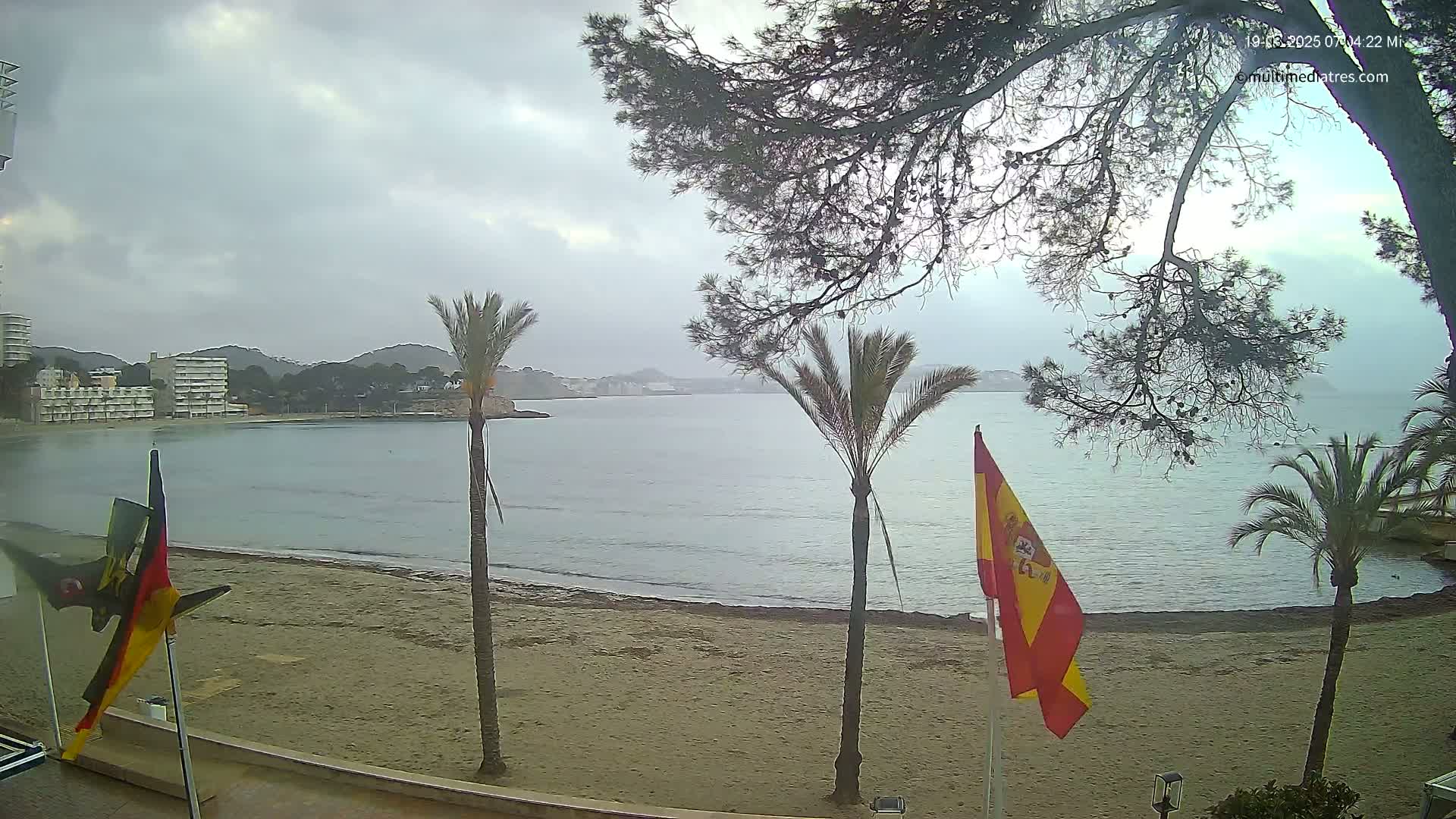 A sandy beach with palm trees and flags overlooks a calm bay under an overcast sky.