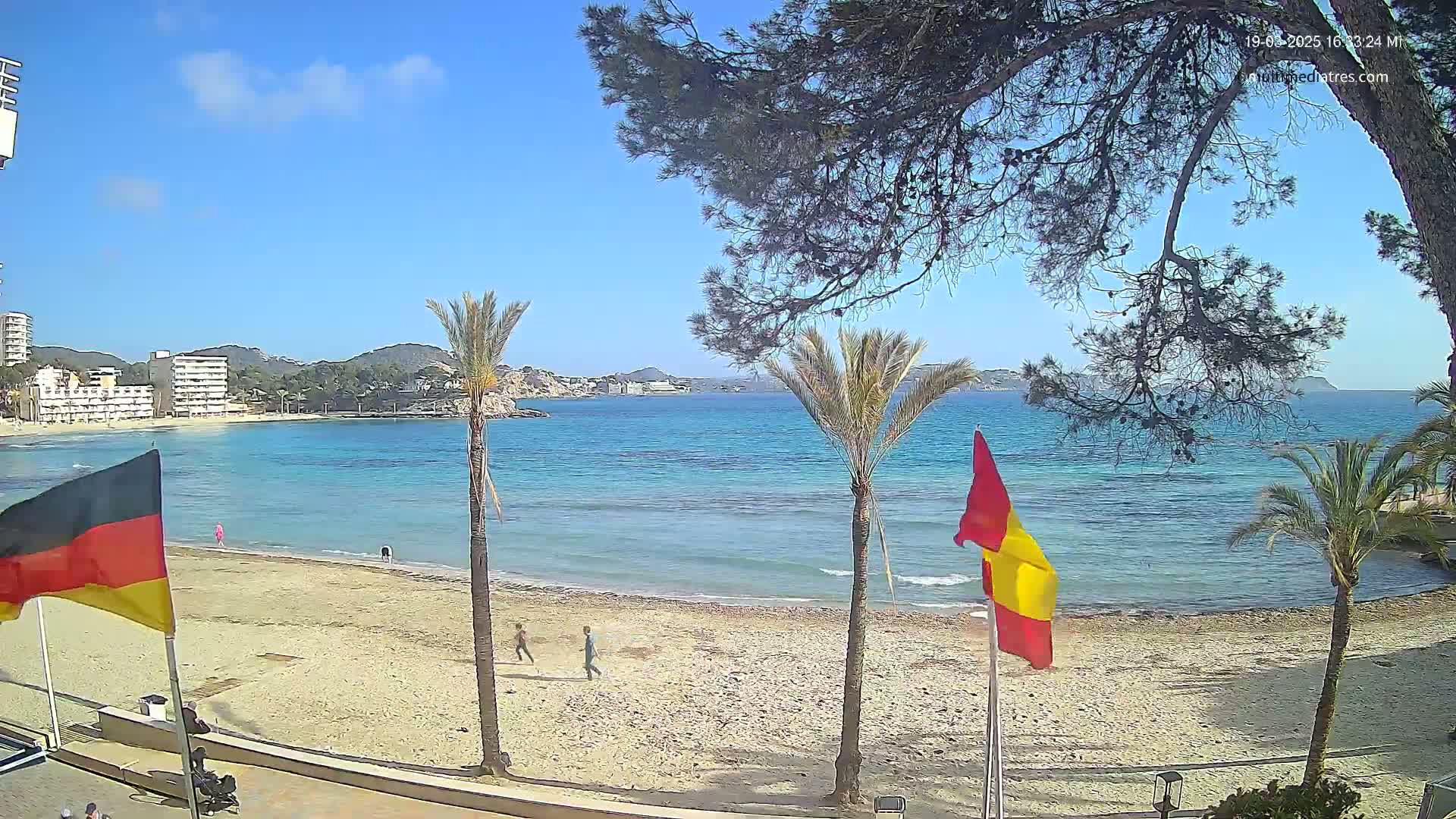 A sandy beach with turquoise water and palm trees under a clear blue sky, flags are visible in the foreground.