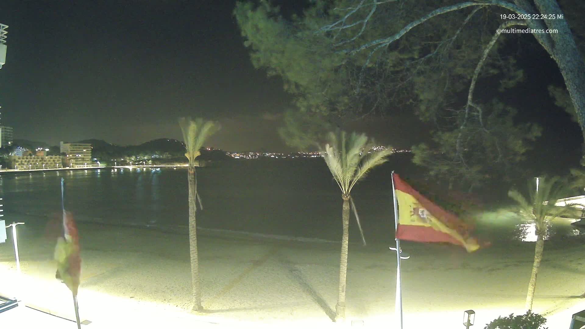 A nighttime view of a sandy beach with palm trees and flags waving in the wind, overlooking a calm body of water and a city skyline in the distance.