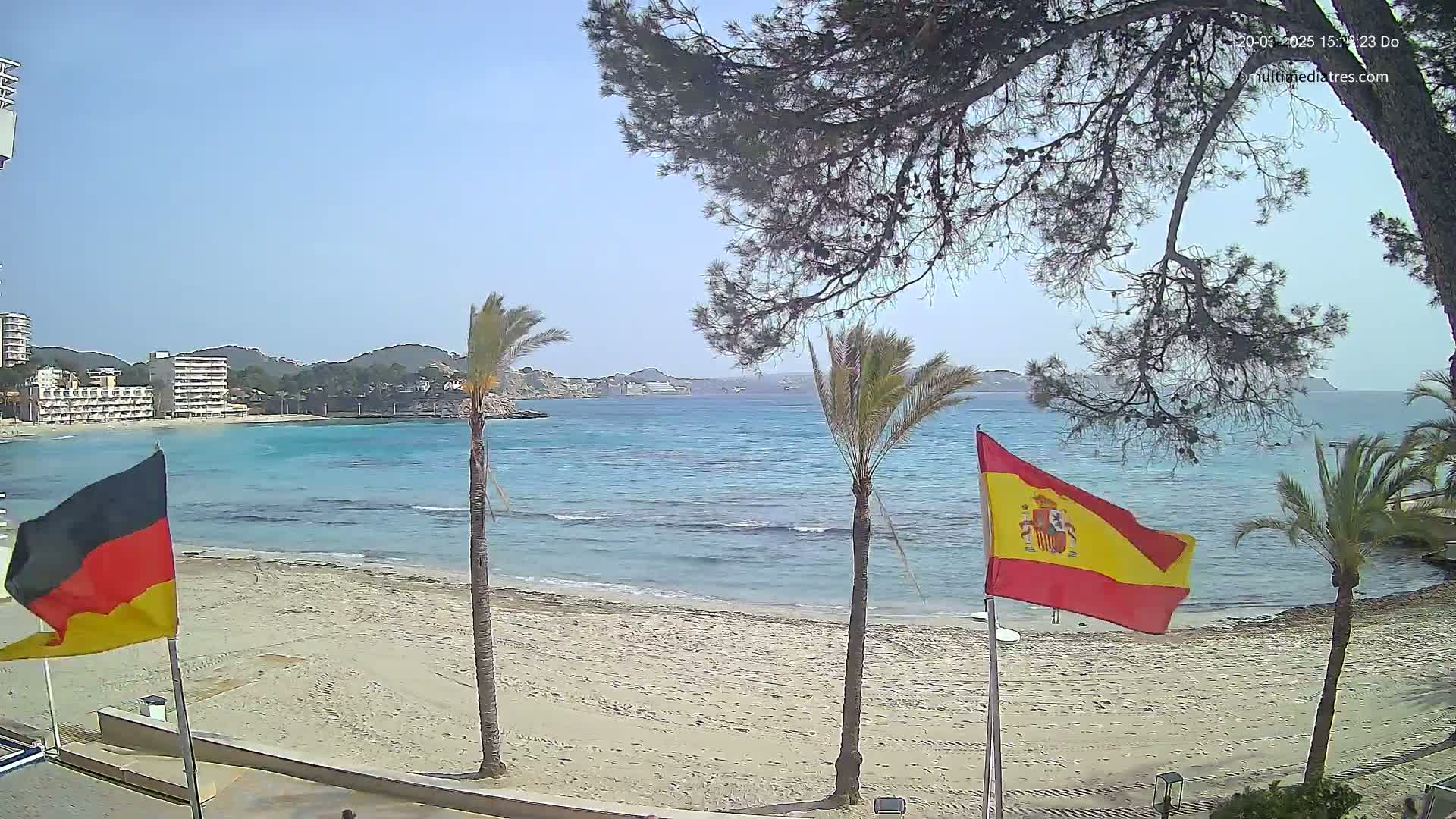 A sandy beach with calm, blue water, palm trees, and flags is visible under a sunny sky.