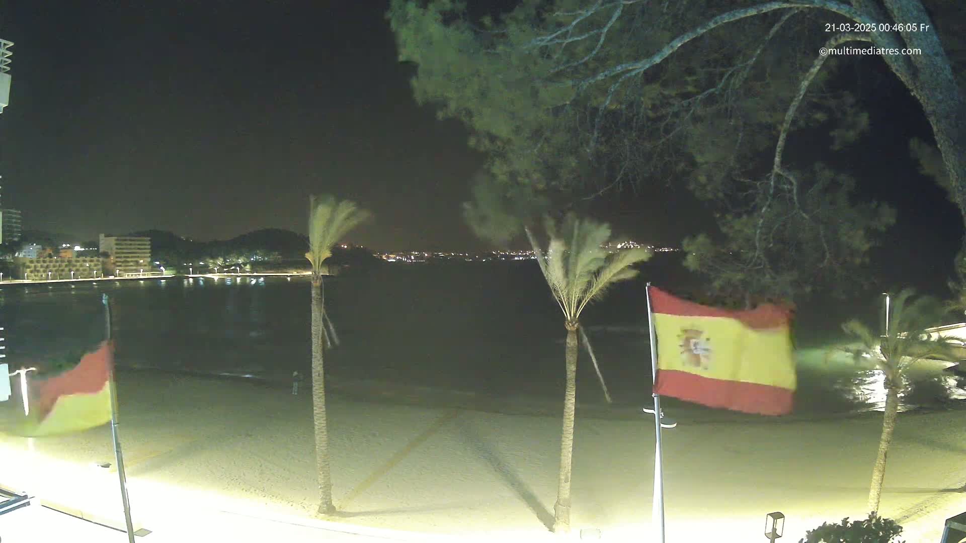 A nighttime beach scene shows a calm body of water, palm trees swaying in the wind, and Spanish flags waving on flagpoles, under a dark sky.