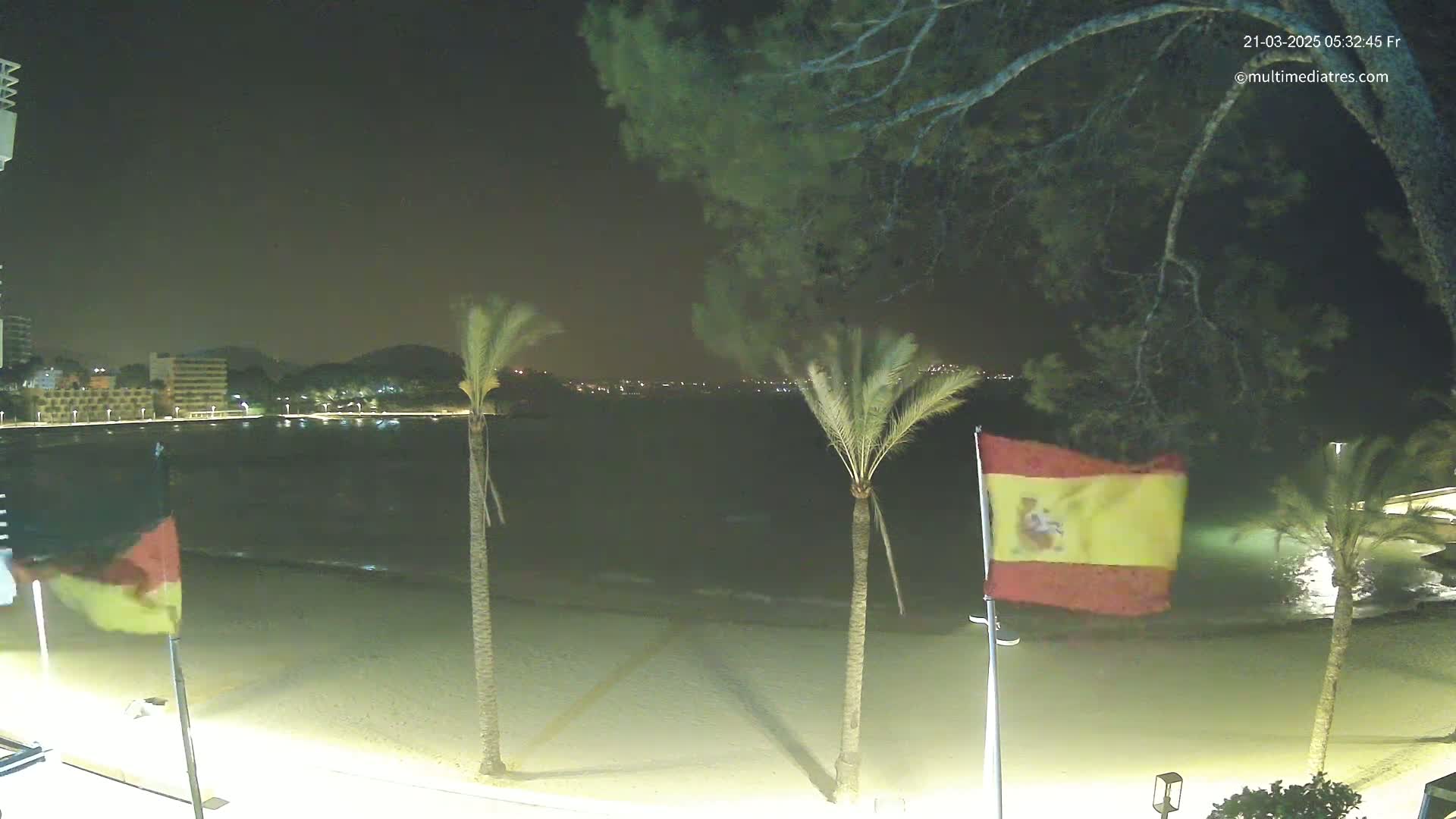 A nighttime beach scene shows a sandy shore with calm water, palm trees, and flags waving gently in the breeze, with buildings and lights visible in the background.