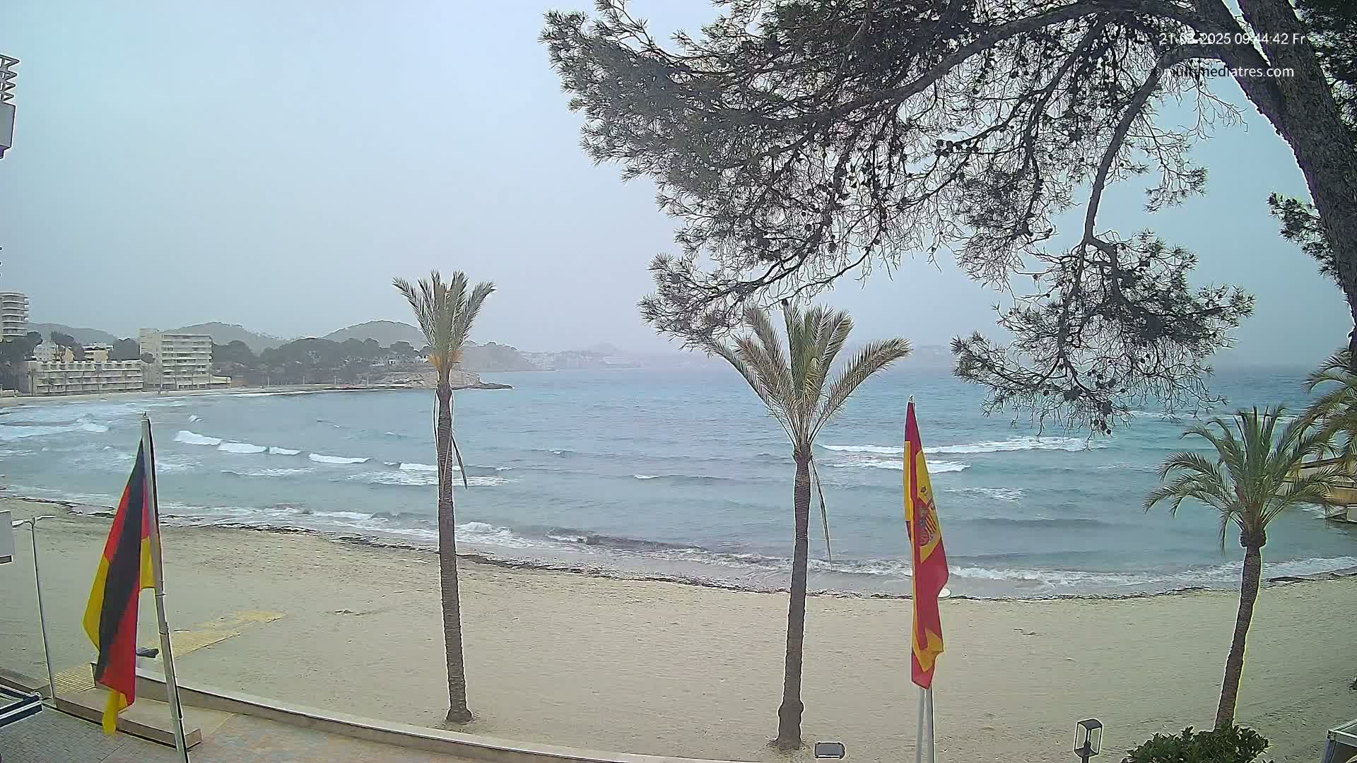 A sandy beach with palm trees and flags is seen overlooking a somewhat choppy sea on an overcast day.