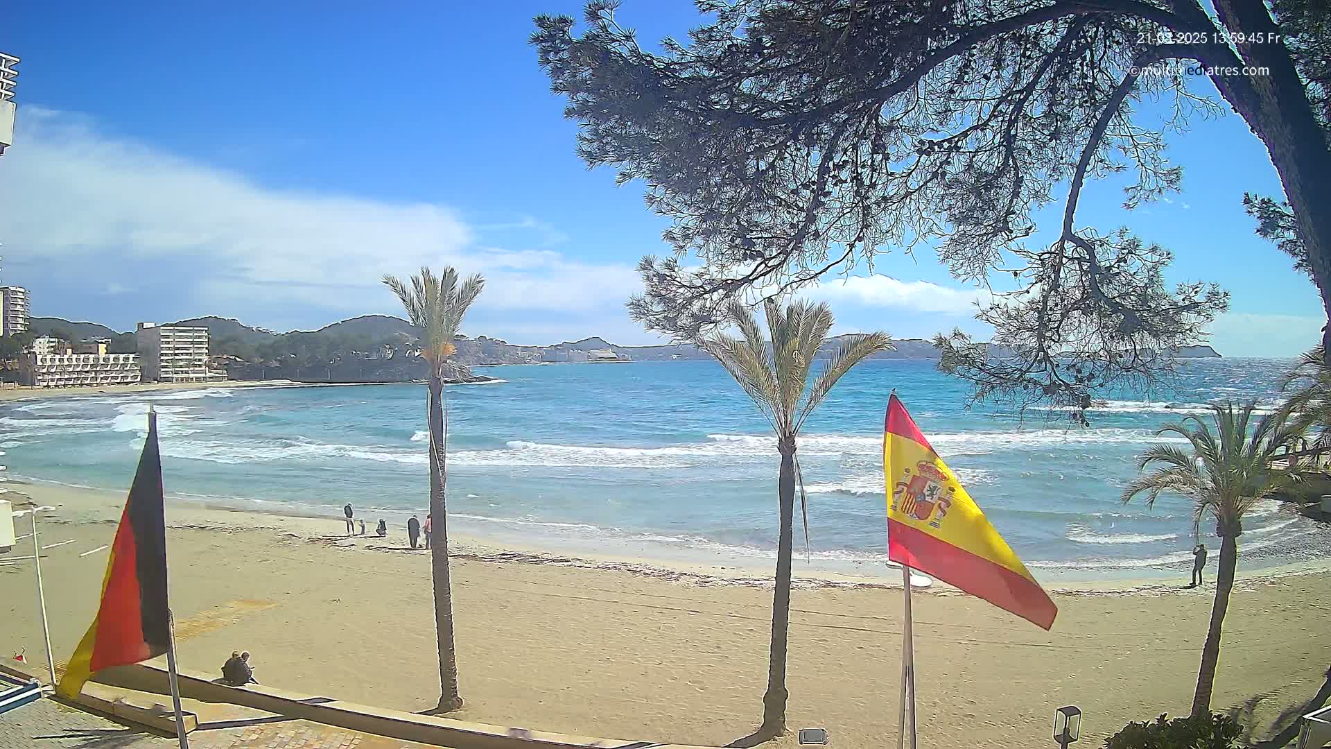 A sandy beach with palm trees and flags, under a partly cloudy blue sky, shows gentle waves lapping the shore near buildings in the distance.