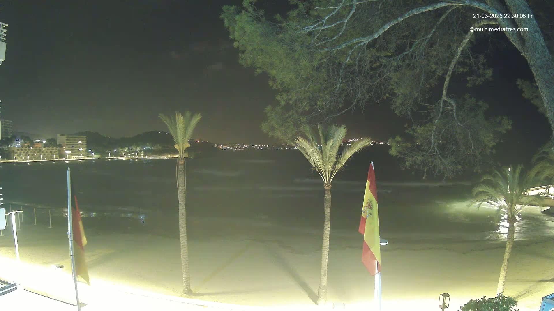 A nighttime beach scene shows a calm body of water lapping gently at a sandy shore, with palm trees and Spanish flags in the foreground, and city lights visible in the distance under a dark sky.