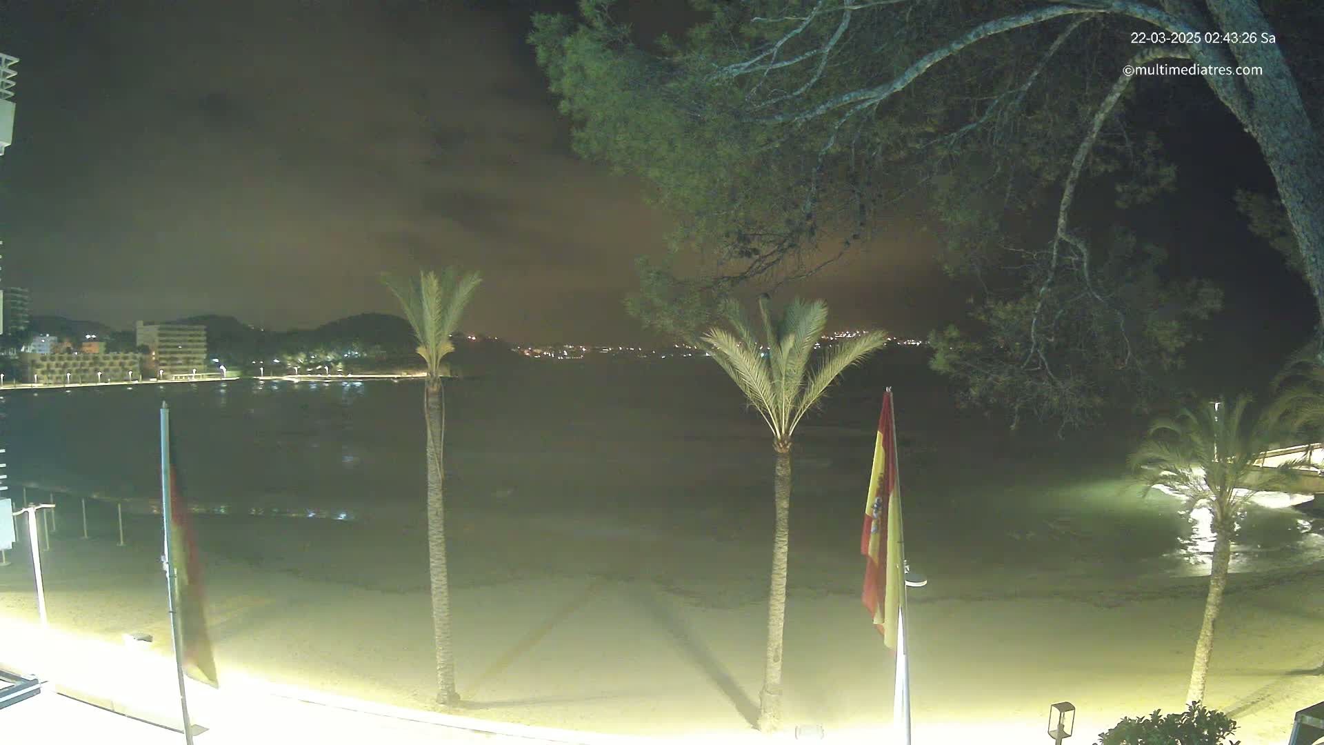 A nighttime beach scene shows a calm, dark body of water under a cloudy sky, with palm trees and flags along a sandy shore and distant lights from buildings on a hill.