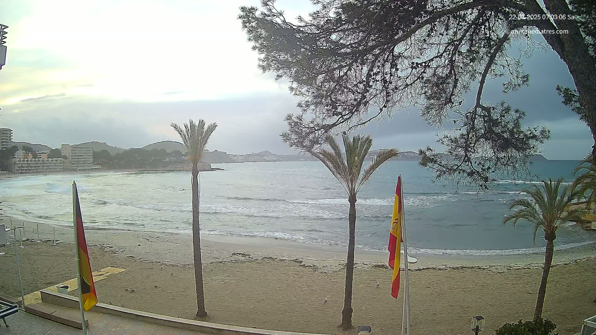 A sandy beach with gentle waves laps the shore under an overcast sky, palm trees stand on the sand near a promenade, and buildings are visible in the background.