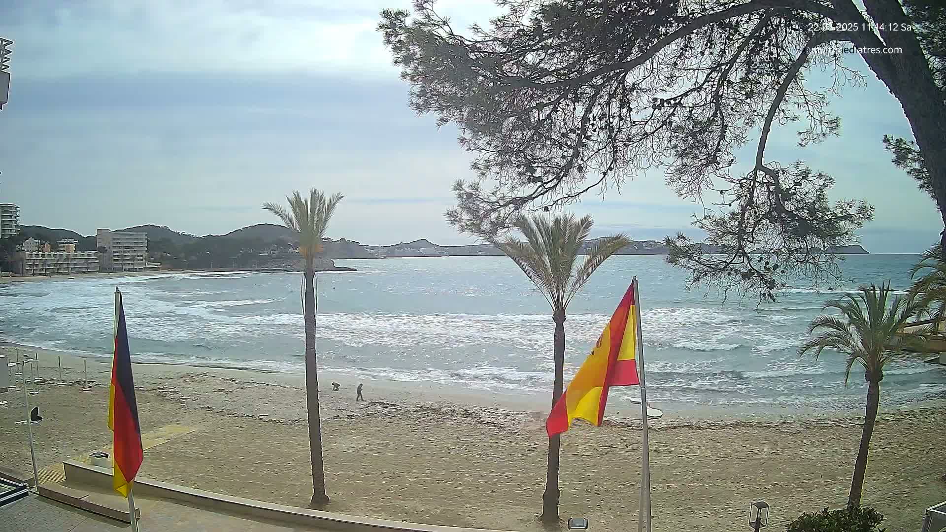 A sandy beach with small waves under a cloudy sky is framed by palm trees and shows flags planted in the sand.