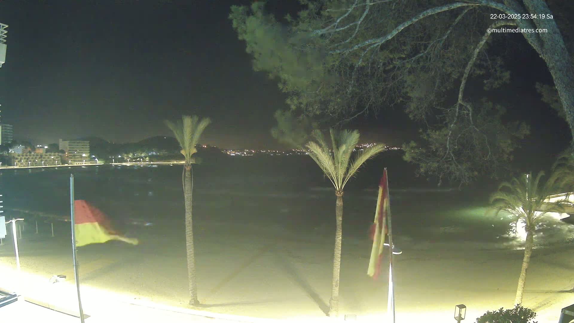 A nighttime beach scene shows a calm, dark sea with small waves lapping a sandy shore, palm trees, and flags waving gently in the breeze under a dark sky.