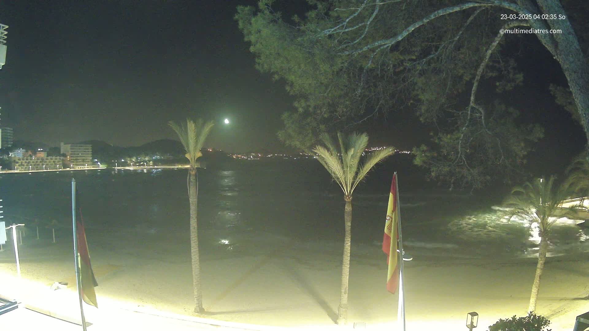 A nighttime beach scene shows a calm bay with a bright moon, palm trees, and gently lapping waves.